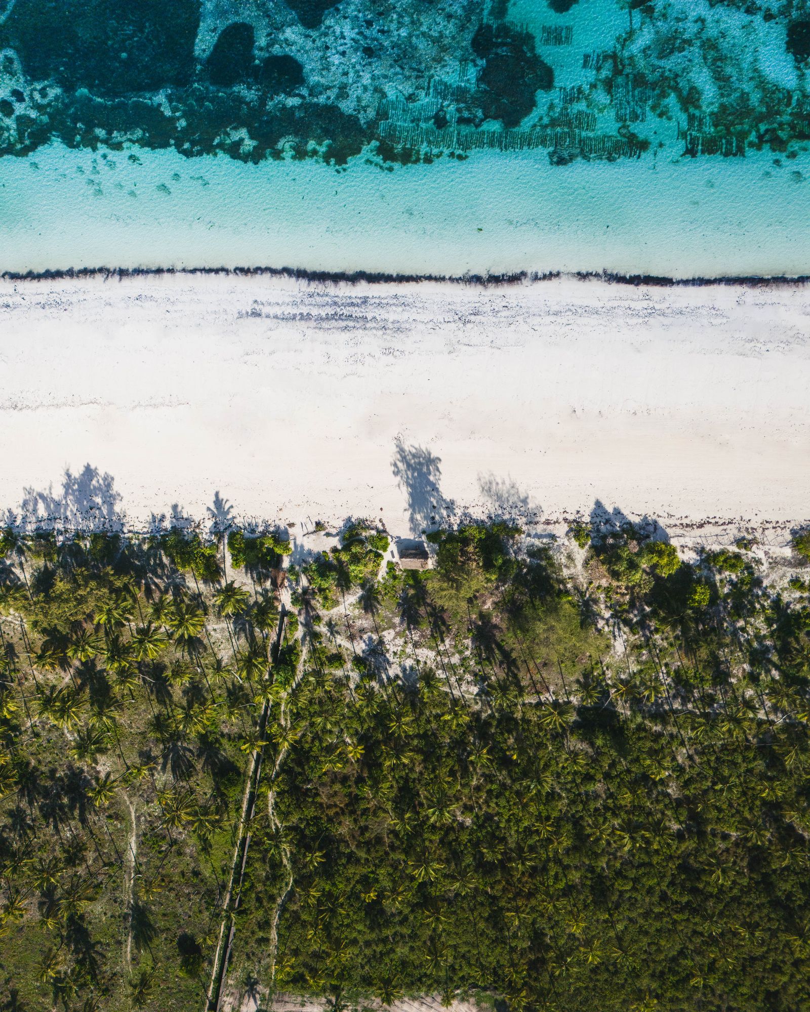 7-Day Safari + Zanzibar